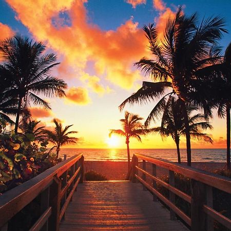 Luxury Private Beach Water-Side Ocean Baby Escape!! Leilighet Pompano Beach Eksteriør bilde